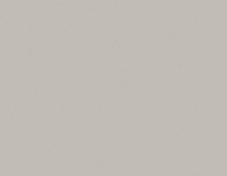 U763 ST76 Серый перламутровый